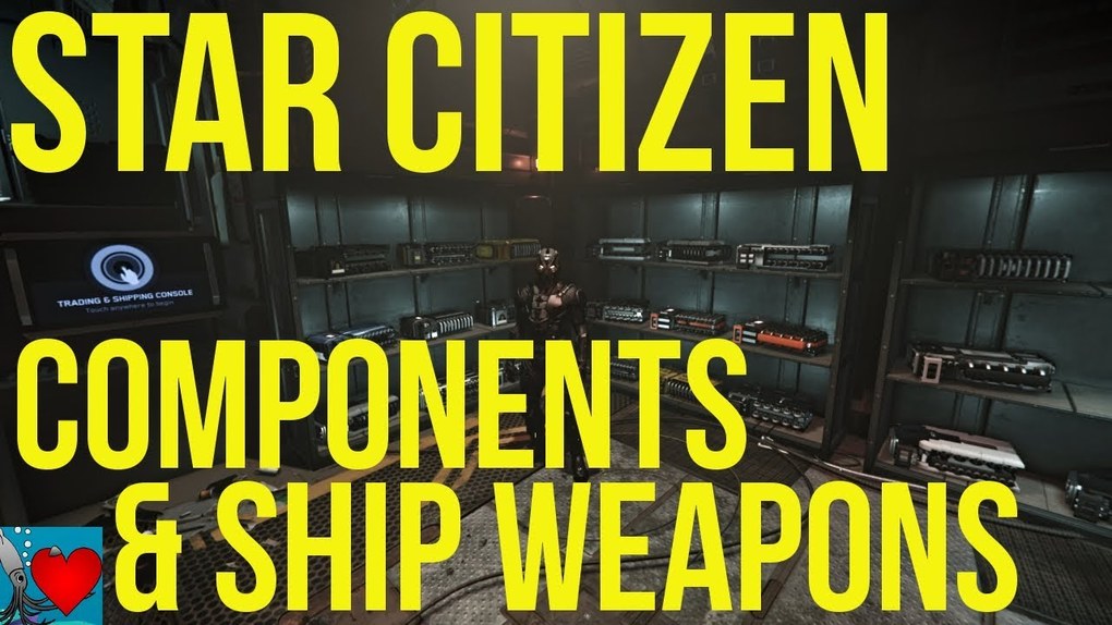 Citizen spotlight Star Citizen 3.2 Gameplay Components Guide & Ship