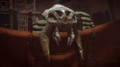 Skull